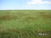 s_PICT0228_thumb.png